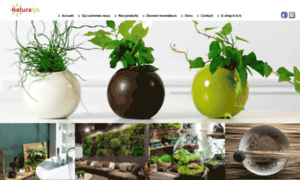 Decoration-vegetale.com thumbnail
