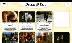 Decordog.ru thumbnail