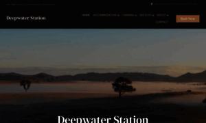 Deepwaterstation.com thumbnail