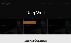 Deepwell.com.tr thumbnail