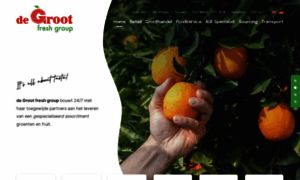 Degroot-int.net thumbnail