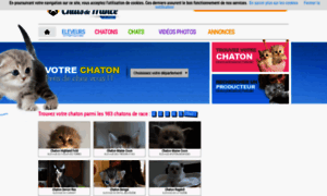 Degryffondor.chats-de-france.com thumbnail