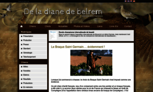 Deladianedebelrem.chiens-de-france.com thumbnail