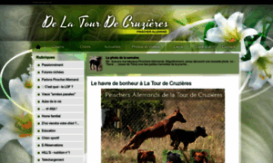 Delatourdecruzieres.chiens-de-france.com thumbnail