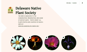 Delawarenativeplants.org thumbnail