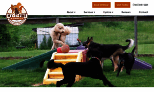 Delawareohiopetdaycare.com thumbnail