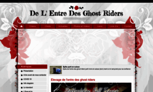 Delentredesghostriders.chiens-de-france.com thumbnail