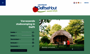 Delftsehout.nl thumbnail