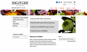 Deliflor.nl thumbnail