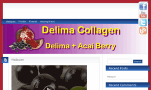 Delimacollagen.com thumbnail