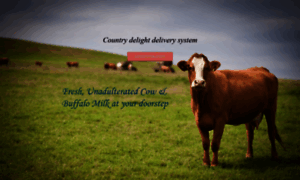 Delivery.countrydelight.in thumbnail