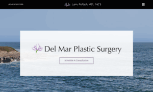 Delmarplasticsurgery.com thumbnail