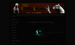 Delsuenolatino.fr thumbnail