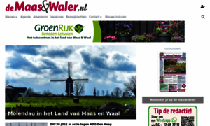 Demaasenwaler.nl thumbnail
