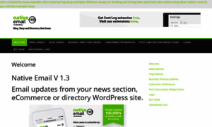 Demo.nativeemail.com thumbnail