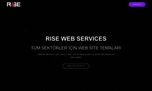 Demo.risewebservices.com thumbnail