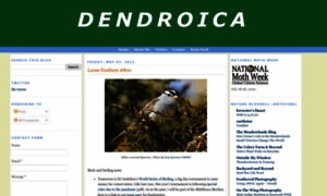 Dendroica.blogspot.com thumbnail
