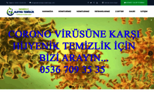 Denizlialeynatemizlik.com thumbnail