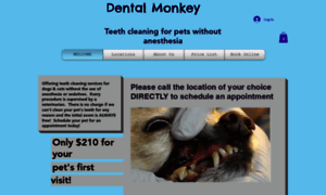 Dentalmonkeyteethcleaning.com thumbnail