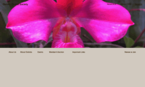 Denverorchidsociety.org thumbnail