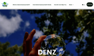 Denz.co.nz thumbnail