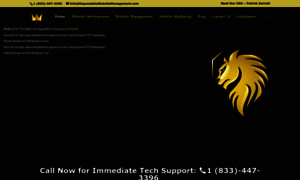 Dependablewebsitemanagement.com thumbnail