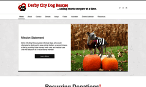 Derbycitydogrescue.org thumbnail