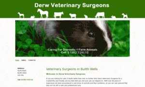 Derwvets.co.uk thumbnail