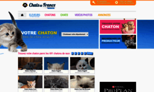 Deschartreuxdemartincamps.chats-de-france.com thumbnail