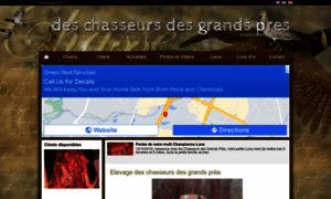 Deschasseursdesgrandspres.chiens-de-france.com thumbnail