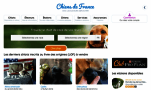 Deschihuahuasdelitza.chiens-de-france.com thumbnail