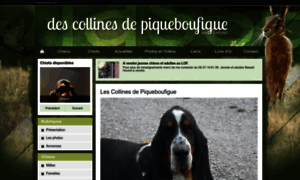 Descollinesdepiqueboufigue.chiens-de-france.com thumbnail