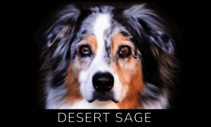 Desertsageagility.com thumbnail