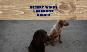 Desertwindslabranch.com thumbnail