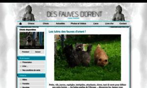 Desfauvesdorient.chiens-de-france.com thumbnail