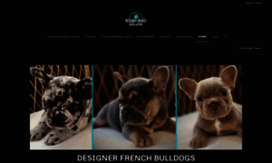 Designerfrenchbulldogs.com thumbnail