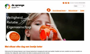 Desprenge-vaassen.nl thumbnail