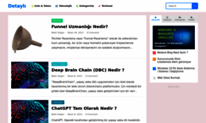 Detayli.net thumbnail