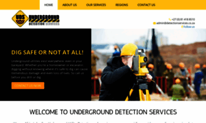 Detectionservices.co.za thumbnail