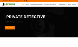 Detectiveagencydelhi.com thumbnail