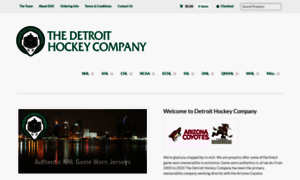 Detroithockeyco.com thumbnail