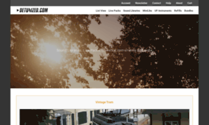Detunized.com thumbnail