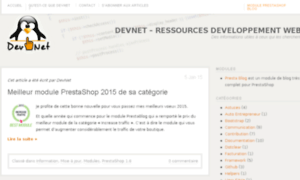Dev-net.fr thumbnail