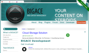 Dev.bigace.org thumbnail