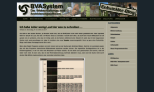 Dev.bvasystem.de thumbnail