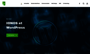 Developpeur-wordpress.com thumbnail