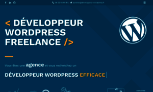 Developpeur-wordpress.fr thumbnail