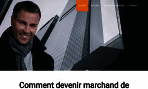 Devenir-marchanddebiens.com thumbnail