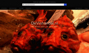 Devishandel.nl thumbnail