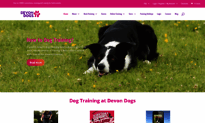 Devondogs.co.uk thumbnail